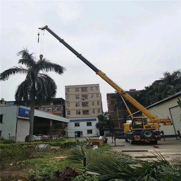 蓬莱镇汽车吊出租多少钱？全面解析与市场行情